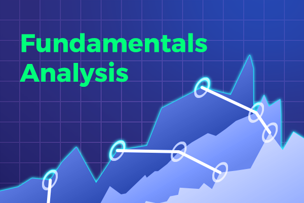 Why Fundamentals Analysis Should be at the Core of Your Investment Strategy